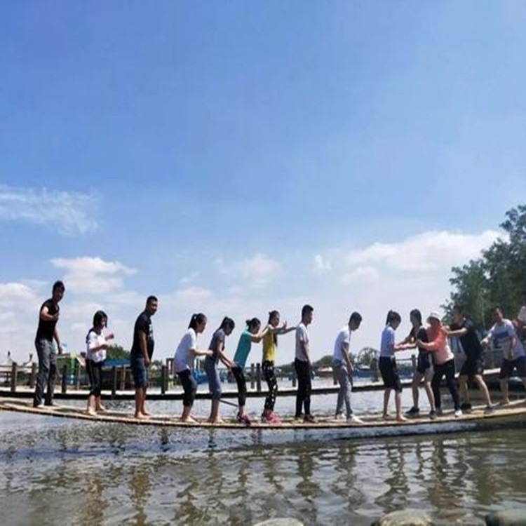 海兴抖音网红桥生产厂家